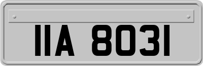 IIA8031