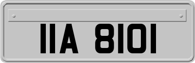 IIA8101