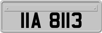 IIA8113