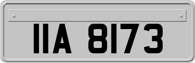 IIA8173