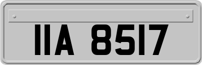 IIA8517