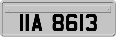 IIA8613