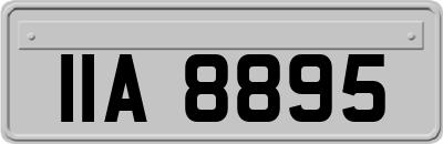 IIA8895