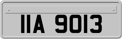 IIA9013