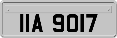 IIA9017