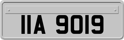 IIA9019