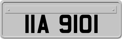 IIA9101