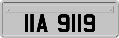IIA9119