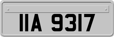 IIA9317