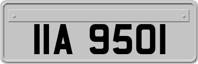 IIA9501
