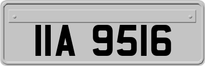 IIA9516