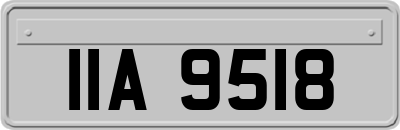 IIA9518
