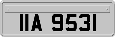 IIA9531