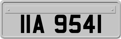 IIA9541