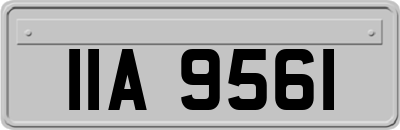 IIA9561