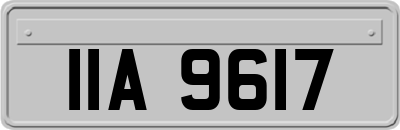 IIA9617