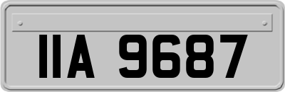IIA9687