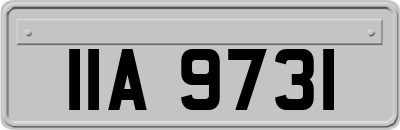 IIA9731