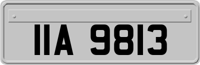 IIA9813
