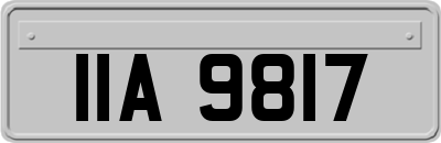 IIA9817