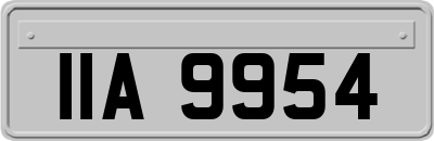 IIA9954