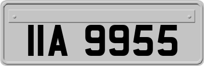 IIA9955