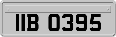 IIB0395
