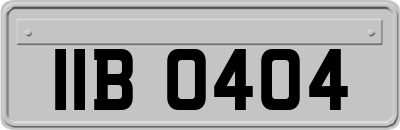 IIB0404