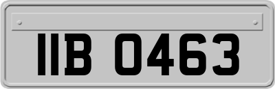 IIB0463