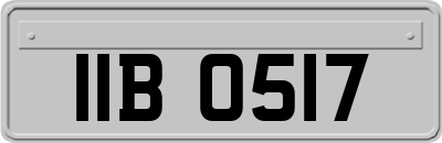 IIB0517