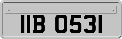 IIB0531