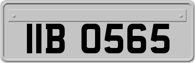 IIB0565