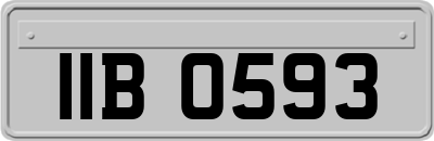 IIB0593