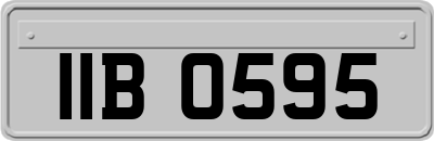 IIB0595