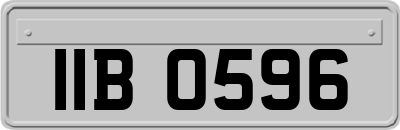 IIB0596