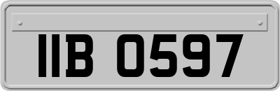 IIB0597