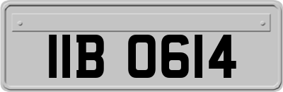 IIB0614