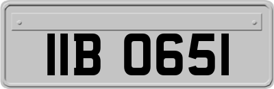 IIB0651