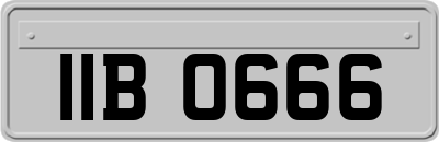 IIB0666