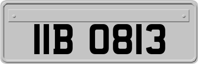 IIB0813