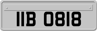 IIB0818