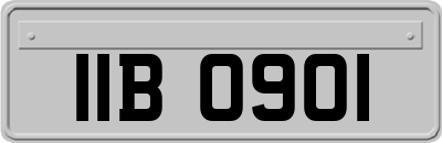 IIB0901