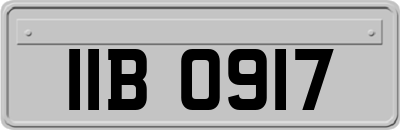 IIB0917