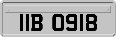 IIB0918