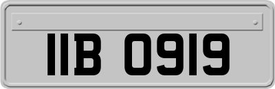 IIB0919