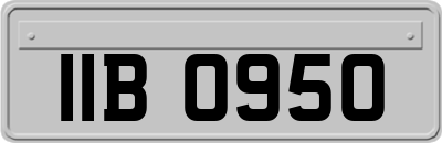 IIB0950