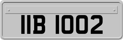 IIB1002