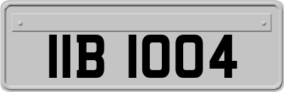 IIB1004