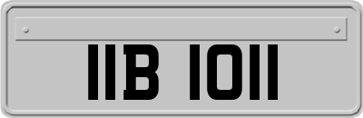 IIB1011