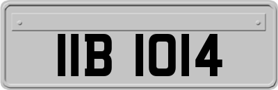 IIB1014